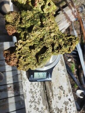 Fiji Dry Base Rock for Saltwater Aquarium Setup Natural Reef Rock Aquascaping